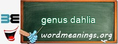 WordMeaning blackboard for genus dahlia